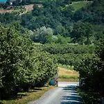 Ca D'rita Monferrato - Chardonnay Idromassaggio E Piscina Esterni Διαμέρισμα
