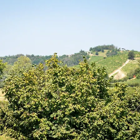 Apartment Ca D'rita Monferrato - Chardonnay Idromassaggio E Piscina Esterni Vaglio Serra