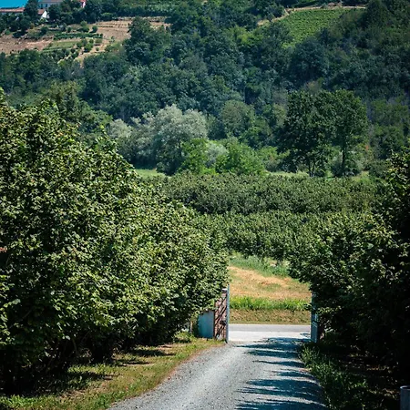 Ca D'rita Monferrato - Chardonnay Idromassaggio E Piscina Esterni Lejlighed