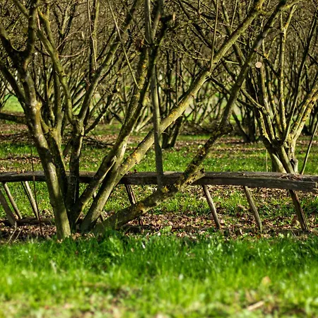 Ca D'rita Monferrato - Chardonnay Idromassaggio E Piscina Esterni *