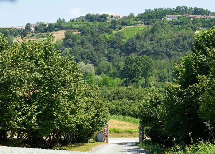 Ca D'rita Monferrato - Chardonnay Idromassaggio E Piscina Esterni