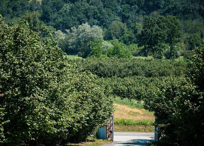 Ca D'rita Monferrato - Chardonnay Idromassaggio E Piscina Esterni דירה