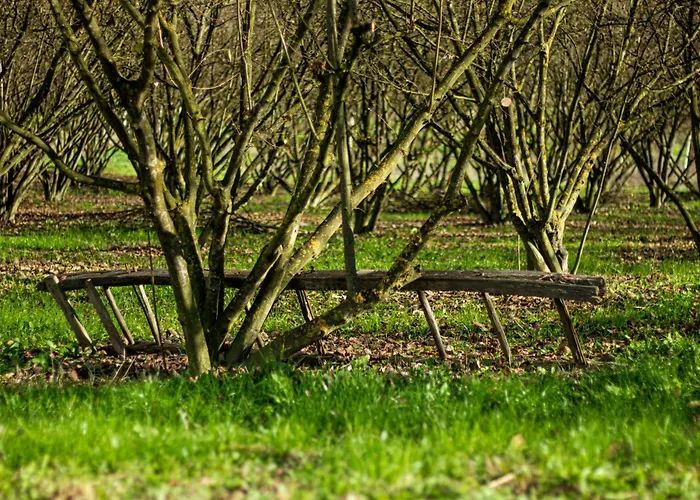 Ca D'rita Monferrato - Chardonnay Idromassaggio E Piscina Esterni *